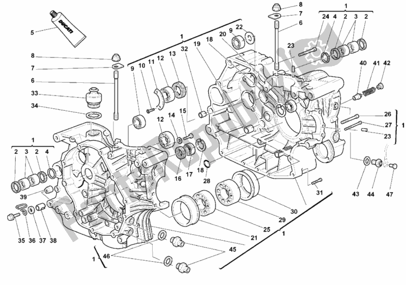 Toutes les pièces pour le Carter du Ducati Monster 900 City 1999